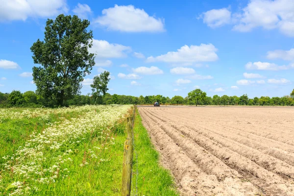 Tractor working on  acultivated field in a countryside landscape — Stock Photo, Image