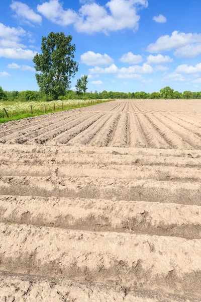 Landschap van een gecultiveerde boeren veld op een zonnige dag — Stockfoto