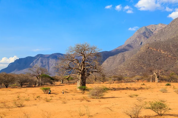 Woman and child walking through a boabab valley — Stock Photo, Image