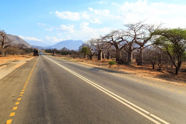 Road through the baobab forest valley in Tanzania — Stock Photo, Image