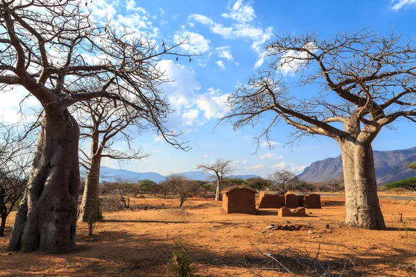 Casa rodeada de baobab en África — Foto de Stock