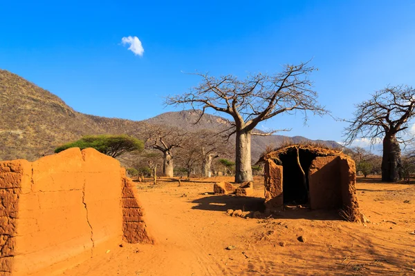 Casa cercada por baobás na África — Fotografia de Stock