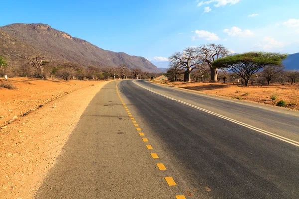 Road through the baobab forest valley in Tanzania — Stock Photo, Image