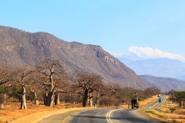 Cesta údolím lesní baobab v Tanzanii — Stock fotografie