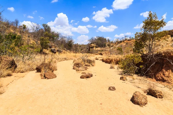 Dry riverbed landscape on a warm sunny day — Stock Photo, Image