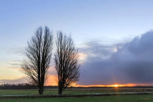Árvores em uma paisagem de inverno ao nascer do sol — Fotografia de Stock