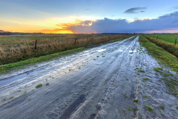 Muddy wet sand lane in grassland landscape — Stock Photo, Image