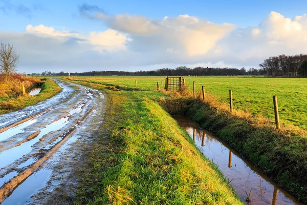 Landschap met natte weg en grasland — Stockfoto