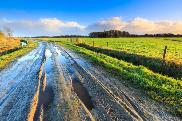 Paisagem rural com estrada molhada e prados — Fotografia de Stock