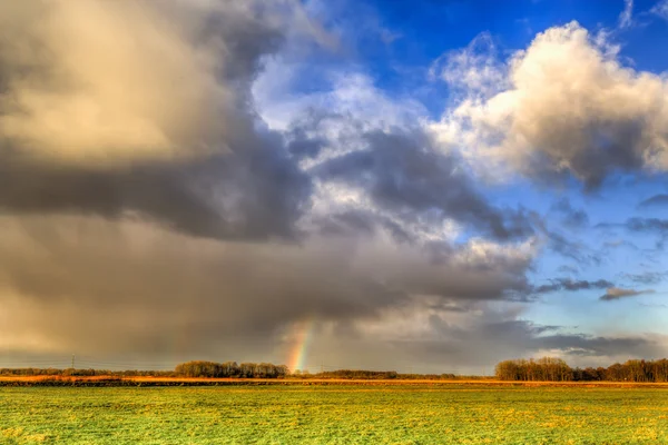 Landscape of grassland with rainbow at the horizon — Stock Photo, Image