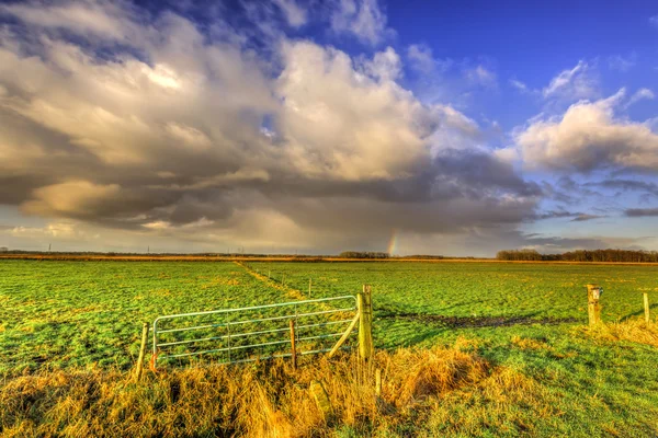 Paisagem de prados com arco-íris no horizonte — Fotografia de Stock
