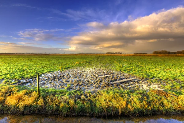 Wet grassland landscape with dark morning clouds — Stock Photo, Image