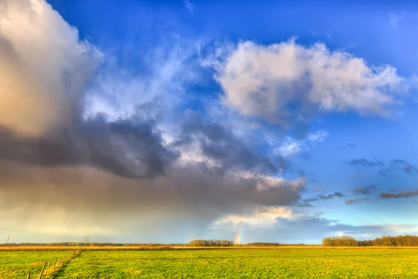 Landscape of grassland with rainbow at the horizon — Stock Photo, Image