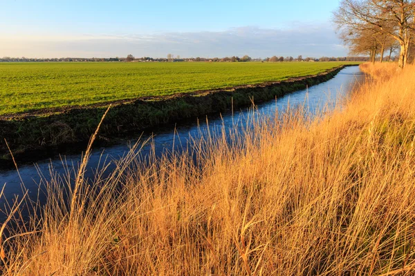 A grassland and ditch at sunset in a dutch landscape — Stock Photo, Image