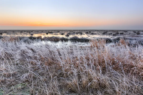 Kall vinterlandskap av våtmarker vid solnedgången — Stockfoto