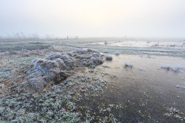 Bir soğuk puslu kış sabahı tarım arazileri