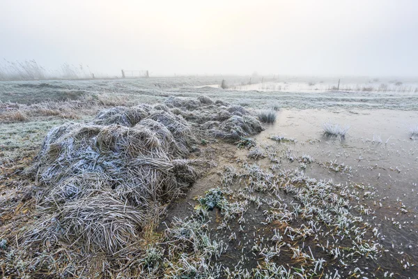 Jordbruksmark på en kall vintermorgon dimmiga — Stockfoto