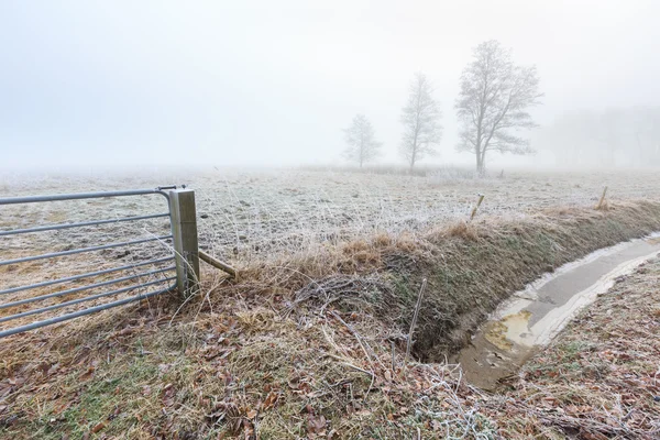 Misty frozen landscape of farmland in winter time — Stock Photo, Image