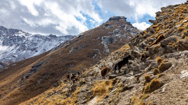 Tian Shan dağları buzulları ve kar, güneşli bir günde mavi gökyüzü ile yükselir. Kırgızistan dağları Çin sınırında
