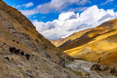Tian Shan dağları buzulları ve kar, güneşli bir günde mavi gökyüzü ile yükselir. Kırgızistan dağları Çin sınırında