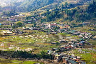 Vietnam 'ın kuzeyindeki Sapa' da teraslı pirinç tarlaları.