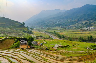 Vietnam 'ın kuzeyindeki Sapa' da teraslı pirinç tarlaları.