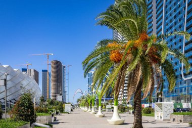 Batoemi 'de bir bulvarda modern yeşil sokak lambaları. Georgie güneşli bir günde