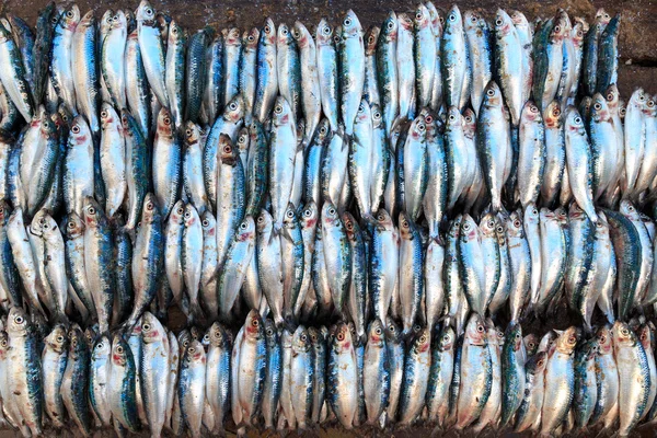 Pesce fresco esposto in una bancarella del mercato — Foto Stock