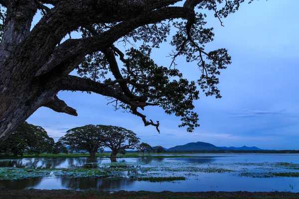 Paisagem do lago ao pôr do sol — Fotografia de Stock