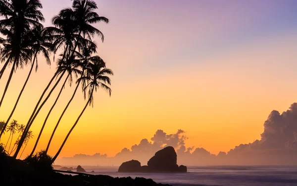 Lever de soleil à la plage avec des palmiers — Photo