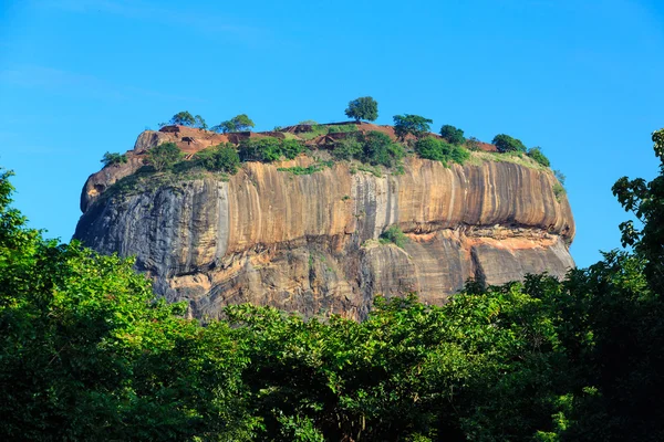 Lví skála na Sigiriya, Srí Lanka — Stock fotografie