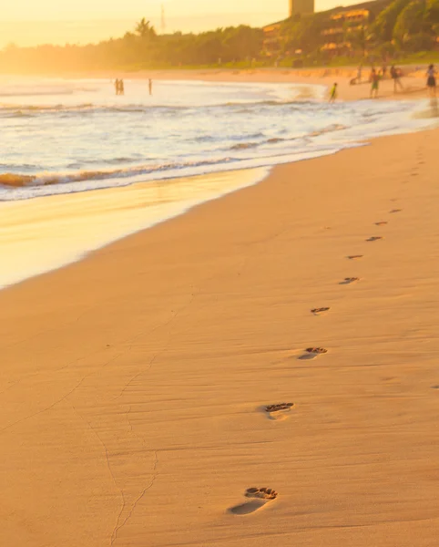 해변 모래에 발자국을 찍는 모습 스톡 사진