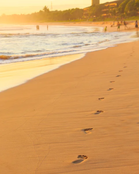 Pegadas na areia na praia Fotografia De Stock