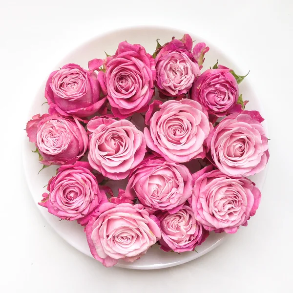 Pink roses on a plate on white background. Flat lay — Stock Photo, Image