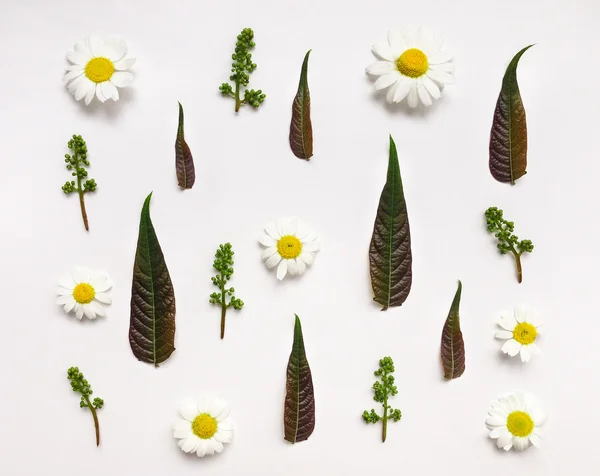 Kleurrijke zomer patroon met bladeren en bloemen — Stockfoto