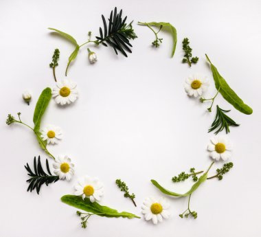 Renkli yaz yuvarlak ile bitkiler ve çiçekler