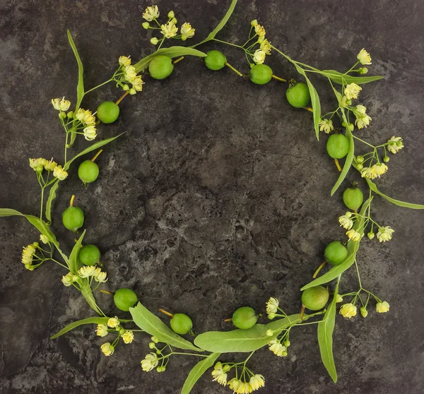 Wreath of flowers and fruits on dark background. Flat lay, overhead view — Stock Photo, Image