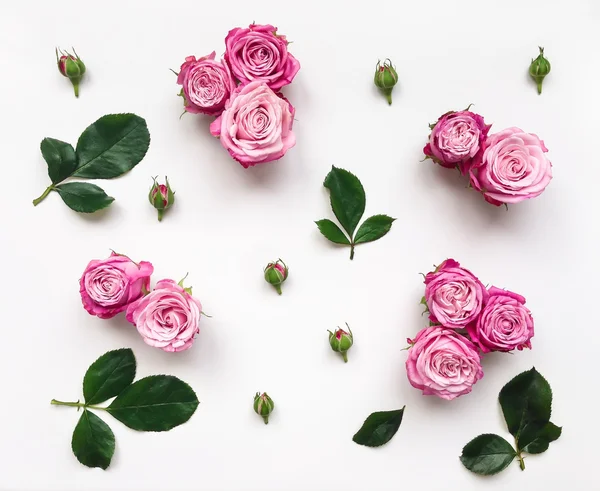 Moldura decorativa com rosas rosa brilhantes e folhas no fundo branco — Fotografia de Stock