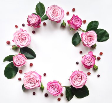 Gül ve beyaz arka plan üzerinde meyveleri dekoratif çerçeve