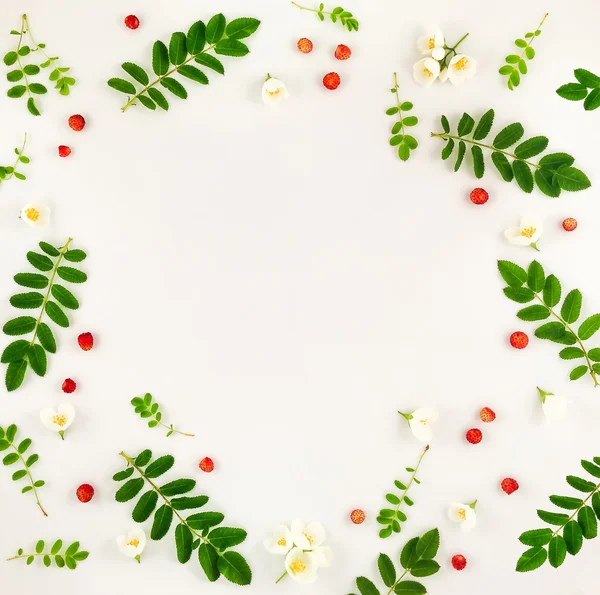 Buntes helles Muster aus Blättern, Beeren und Blüten — Stockfoto