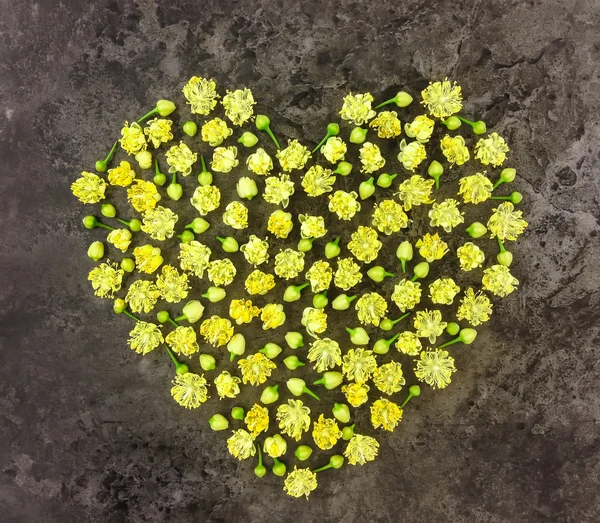 Herz-Symbol aus Blumen auf dunklem Hintergrund. flache Lage — Stockfoto