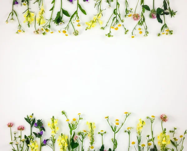 Marco brillante colorido hecho de flores del prado. Flay lay, vista superior — Foto de Stock