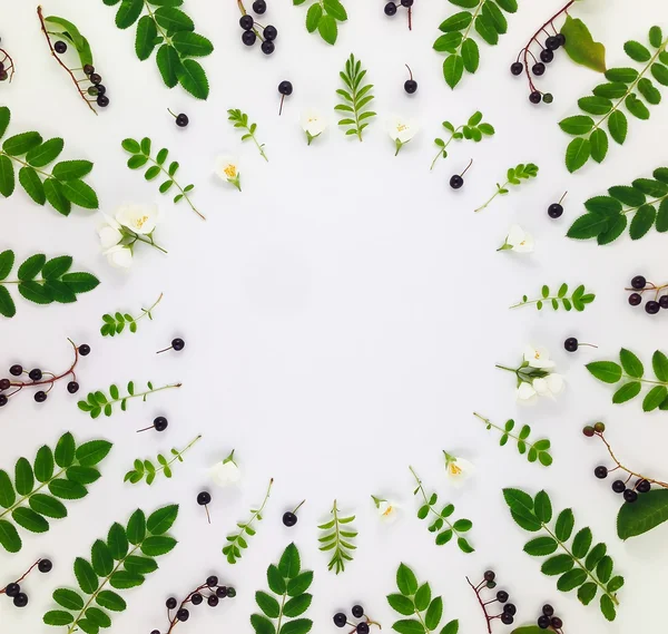 Kleurrijke heldere patroon van bladeren, bessen en bloemen op witte achtergrond. Plat leggen — Stockfoto