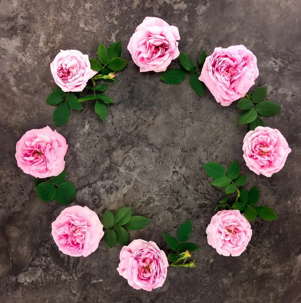 Dekorativ ram med rosa ljus rosor och blad på mörk bakgrund. Lägenheten låg — Stockfoto