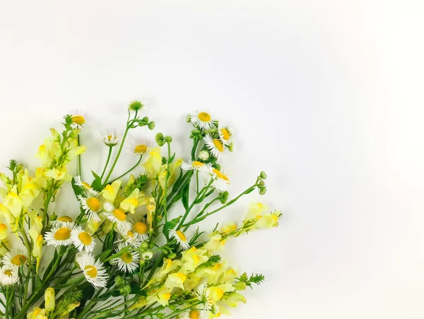 Renkli parlak buket çiçegi beyaz arka plan üzerinde yapılmış. Lay kompozisyon paylamak