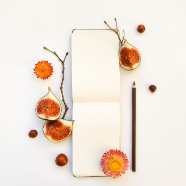 Sketchbook, incir ve ağaç dalları parlak sonbahar bileşimi. Düz yatıyordu, en iyi görünümü