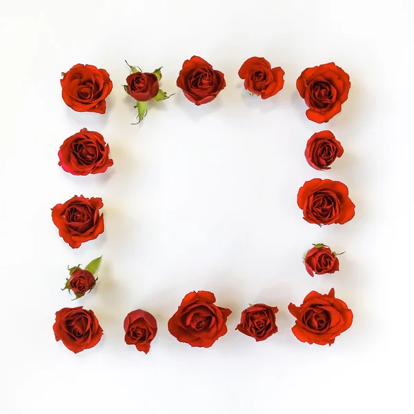 Marco decorativo con rosas rojas brillantes y hojas sobre fondo blanco. Puesta plana —  Fotos de Stock
