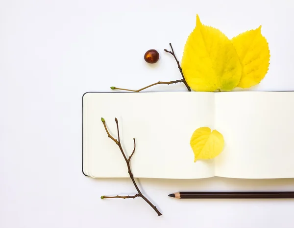 特写的笔记本和一支铅笔，装饰着黄色的秋天树叶和树枝。顶视图，平躺 — 图库照片