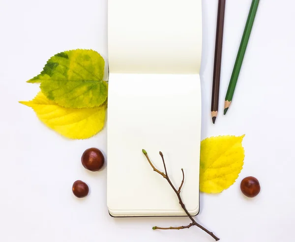 Närbild av anteckningsbok och penna, dekorerad med hösten gula blad och grenar. Ovanifrån, platt låg — Stockfoto