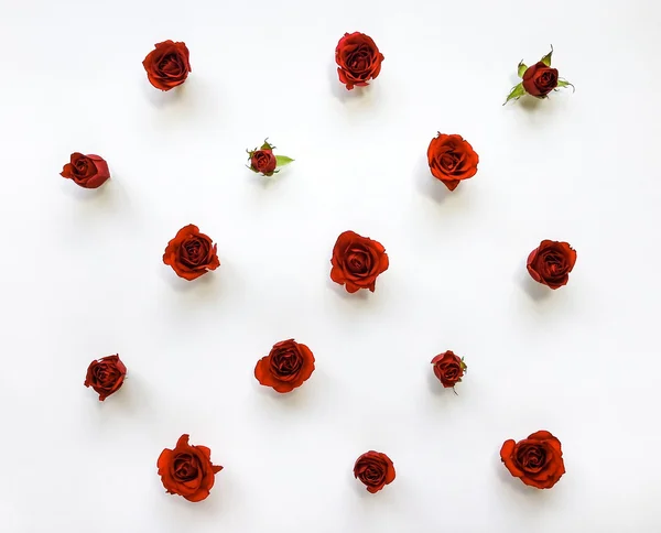 Patrón decorativo con rosas rojas brillantes sobre fondo blanco. Puesta plana — Foto de Stock